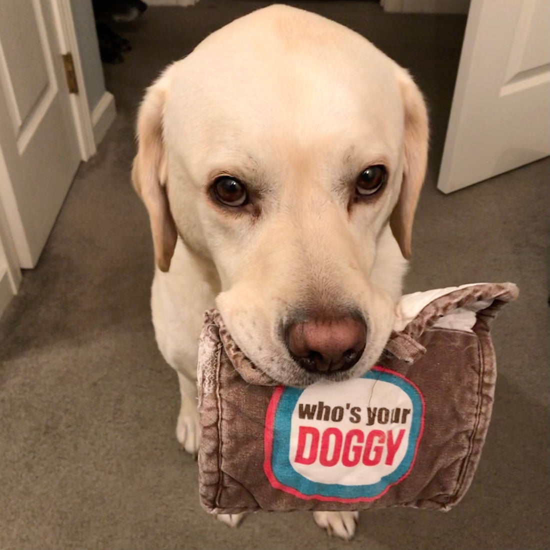 The Best Gifts For German Shepherd Lovers: 10 Great Picks