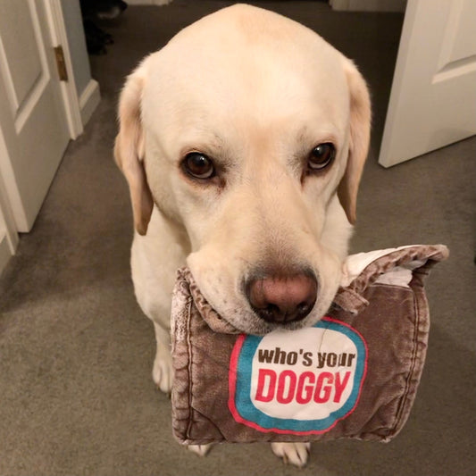The Best Gifts For German Shepherd Lovers: 10 Great Picks