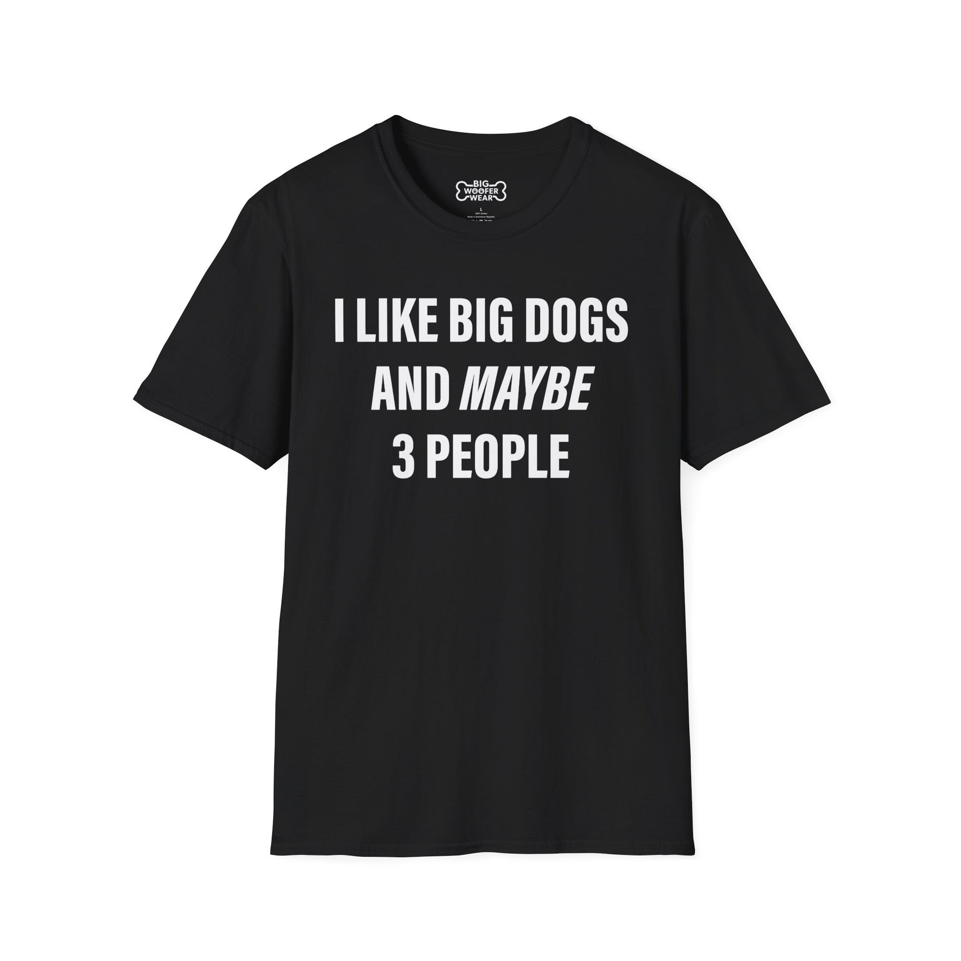 Black t-shirt with large white text: I like big dogs and maybe 3 people.